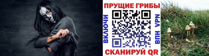 купить наркотики цена  Балабаново  Псилоцибиновые грибы Magic Shrooms 